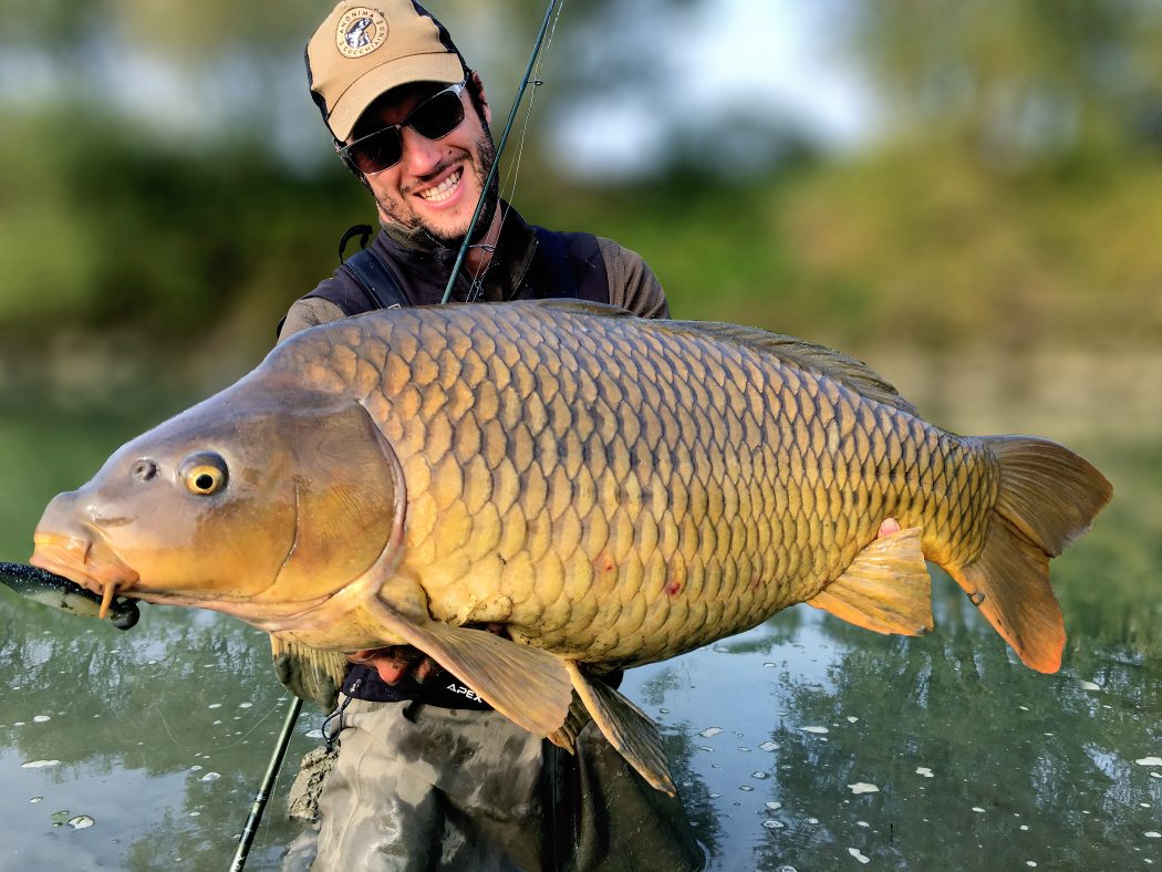 Foto di una carpa